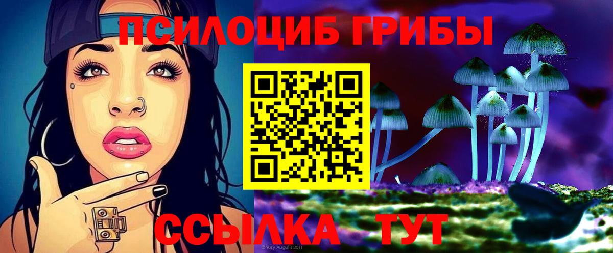 Сыктывкар  Галлюциногенные грибы MAGIC MUSHROOMS  Псилоцибиновые грибы MAGIC MUSHROOMS  Вход с VPN 